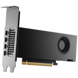 PNY NVIDIA RTX 2000 Ada Grafikkarte