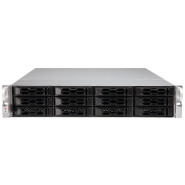 Supermicro Storage Server egino 23121s-C262