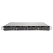 Supermicro Server egino 13041s-C262