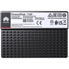 HUAWEI 30.72 TB eKitStor Xtreme 116P NVMe SSD kaufen