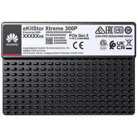 HUAWEI 12.8 TB eKitStor Xtreme 300P NVMe SSD kaufen