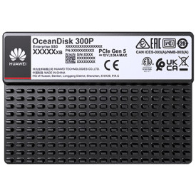 HUAWEI 7.68 TB OceanDisk 300P NVMe SSD kaufen