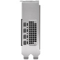 PNY NVIDIA RTX 2000 Ada Grafikkarte Bild 4