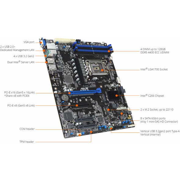 ASUS Server Mainboard P13R-E Bild 5