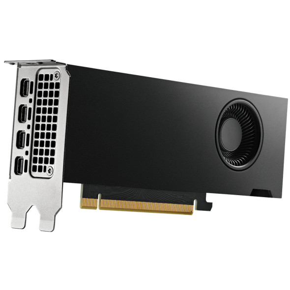 PNY NVIDIA RTX 4000 SFF Ada Grafikkarte Bild 2