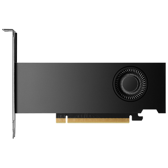 PNY NVIDIA RTX 2000 Ada Grafikkarte Bild 2