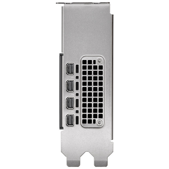 PNY NVIDIA RTX 2000 Ada Grafikkarte Bild 4