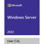 Microsoft Windows Server 2022 User CAL (1 User) kaufen