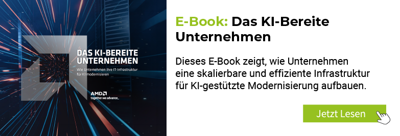 E-Book: KI-bereite Unternehmen